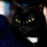 Sally...the old, wise lady in the house!